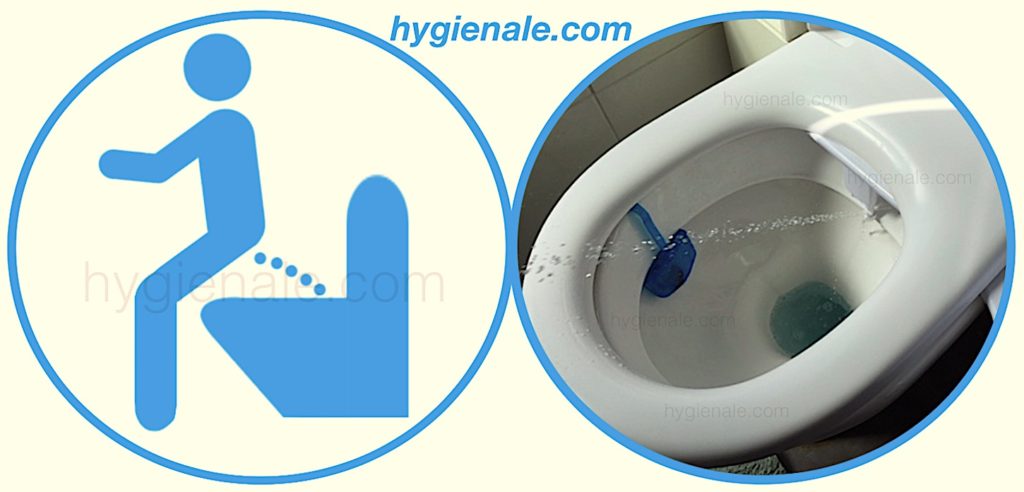 Un WC bidet japonais c'est un simple kit ou abattant à installer sur la cuvette de toilette pour disposer d'un jet d'eau