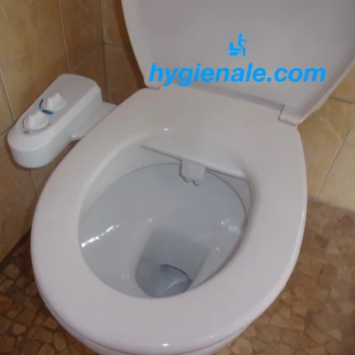 acheter un kit wc japonais permet l'usage d'une douchette
