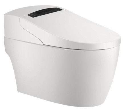 Le bloc sanitaire japonais est une toilette lavante et séchante aussi connu sous le nom de wc électronique ou intelligent