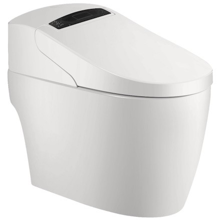 un bloc toilette est le meilleur système pour utiliser un wc japonais car il permet il lave et sèche les fesses de son utilisateur !