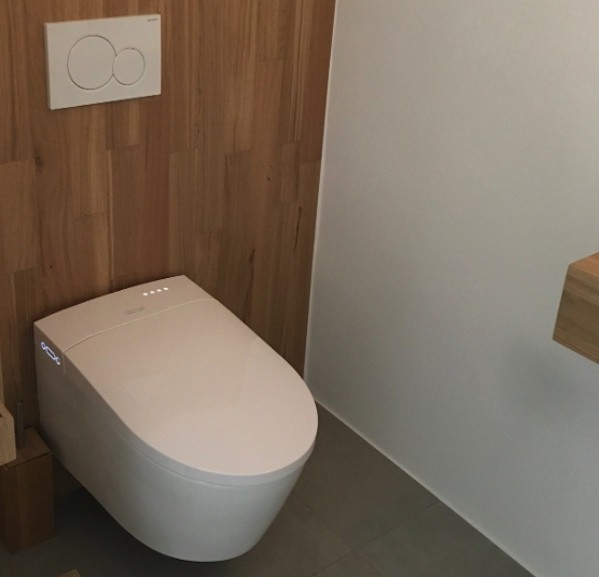 Photo qui représente une installation sur bâti-support wc suspendu japonais