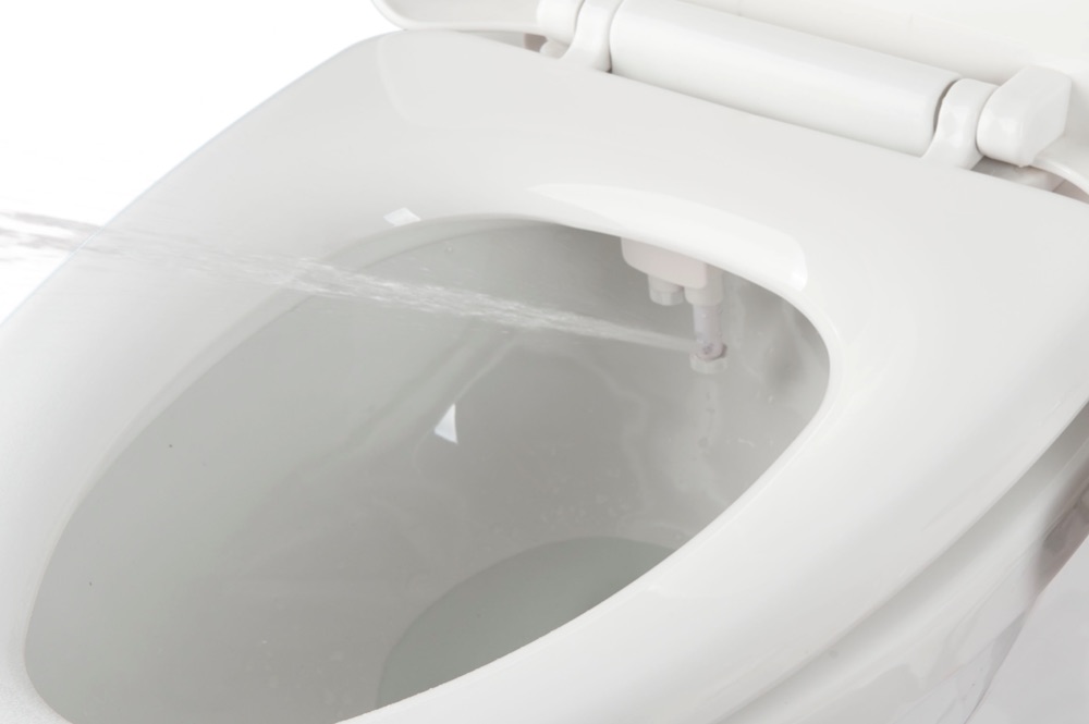 CIENCIA Douchette Toilette 2 Jet Kit Douchette WC Hygiène Intime Acier  Inoxydable Bidet Pulvérisateur pour Toilette, WS024AF6 : :  Bricolage