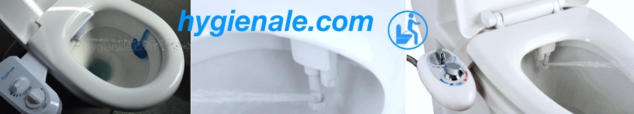 Le kit wc lavant japonais propulse un jet d'eau intime pour laver les fesses aux toilettes