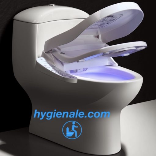 Photo d'une cuvette de toilette avec son abattant électronique japonais et sa platine de contrôle latérale