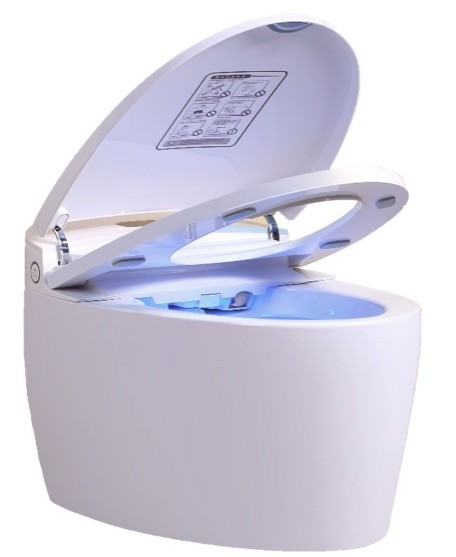 le monobloc wc japonais est un équipement qui intègre un large choix de fonctions pour assurer l'hygiène intime aux toilettes