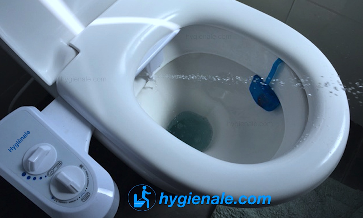Le WC japonais lavant à douchette Hygiènale assure l'hygiène intime aux toilettes.