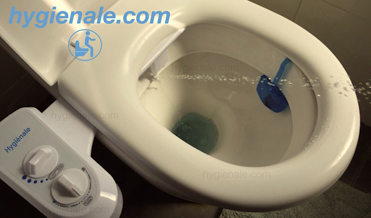 Le cout d'achat d'un wc japonais lavant n'est aussi onéreux car il existe plusieurs formels : kit, abattant, bloc